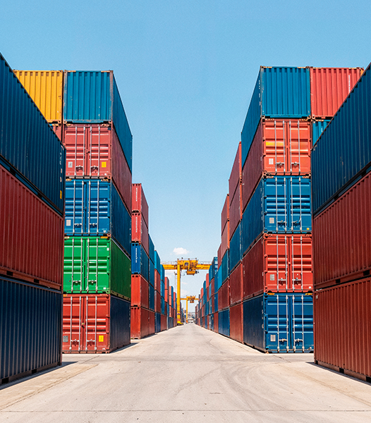 Customs Clearance